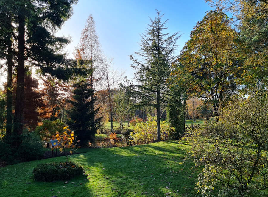 late autumn at Bluebell Arboretum and Nursery